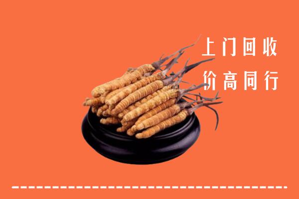高价求购：北京回收散虫草