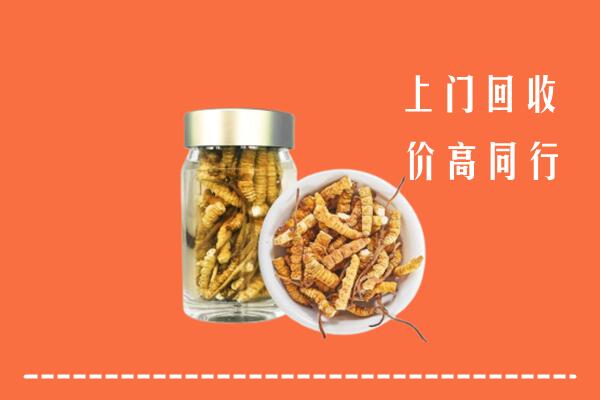 北京回收冬虫夏草